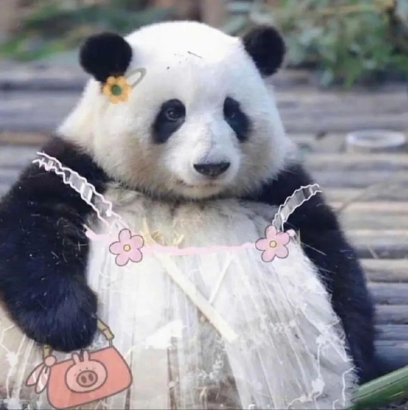 Meet your Posher, Retta - Picture 4 of 5